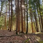 Dolce * Celje