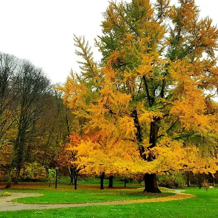 Apartment Dolce Celje